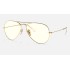 AVIATOR CLEAR EVOLVE
Lenses: Grey Photochromic Classic  +  Frame: Shiny Gold