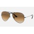 AVIATOR GRADIENT
Lenses: Light Brown Gradient  +  Frame: Gunmetal