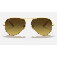 AVIATOR GRADIENT
Lenses: Brown Gradient  +  Frame: Gold