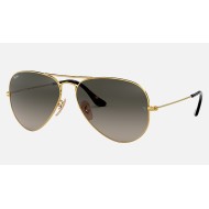 AVIATOR HAVANA COLLECTION
Lenses: Grey Gradient  +  Frame: Gold
