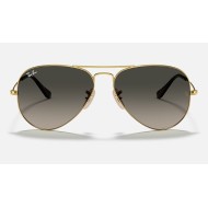 AVIATOR HAVANA COLLECTION
Lenses: Grey Gradient  +  Frame: Gold
