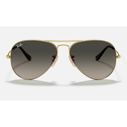 AVIATOR HAVANA COLLECTION
Lenses: Grey Gradient  +  Frame: Gold