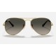 AVIATOR HAVANA COLLECTION
Lenses: Grey Gradient  +  Frame: Gold