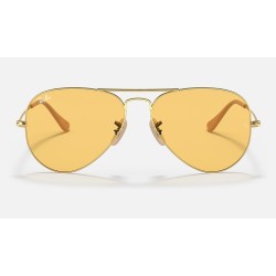 AVIATOR AMBERMATIC
Lenses: Yellow Photochromic Classic  +  Frame: Gold