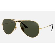 AVIATOR HAVANA COLLECTION
Lenses: Green Classic  +  Frame: Gold
