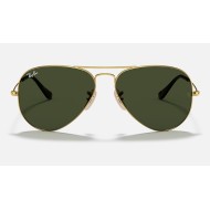 AVIATOR HAVANA COLLECTION
Lenses: Green Classic  +  Frame: Gold