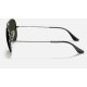 AVIATOR CLASSIC
Lenses: Green Classic G-15  +  Frame: Gunmetal