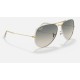 AVIATOR FULL COLOR LEGEND
Lenses: Light Grey Gradient  +  Frame: Grey