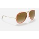 AVIATOR FULL COLOR LEGEND
Lenses: Light Brown Gradient  +  Frame: Red