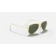 AVIATOR EXTRA SMALL
Lenses: Green Classic  +  Frame: Gold