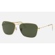 Caravan
Lenses: Green Classic G-15  +  Frame: Gold