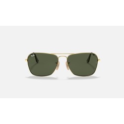 Caravan
Lenses: Green Classic G-15  +  Frame: Gold