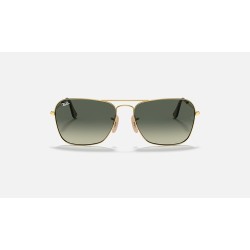Caravan
Lenses: Grey Gradient  +  Frame: Gold