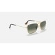 Caravan
Lenses: Grey Gradient  +  Frame: Gold