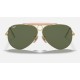 Shooter
Lenses: Green Classic G-15  +  Frame: Gold