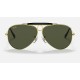 SHOOTER
Lenses: Green Classic  +  Frame: Legend Gold