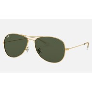 Cockpit
Lenses: Green Classic G-15  +  Frame: Gold