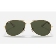 Cockpit
Lenses: Green Classic G-15  +  Frame: Gold