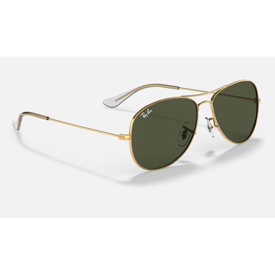 Cockpit
Lenses: Green Classic G-15  +  Frame: Gold