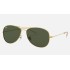 Cockpit
Lenses: Green Classic G-15  +  Frame: Gold