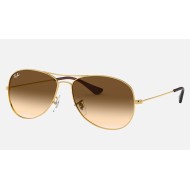Cockpit
Lenses: Light Brown Gradient  +  Frame: Gold