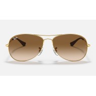 Cockpit
Lenses: Light Brown Gradient  +  Frame: Gold