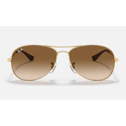 Cockpit
Lenses: Light Brown Gradient  +  Frame: Gold