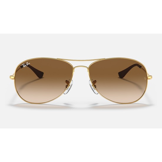 Cockpit
Lenses: Light Brown Gradient  +  Frame: Gold