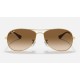 Cockpit
Lenses: Light Brown Gradient  +  Frame: Gold