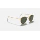 ROUND METAL LEGEND GOLD
Lenses: Green G-15 Classic  +  Frame: Gold