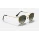 ROUND METAL @COLLECTION
Lenses: Grey Gradient  +  Frame: Gold