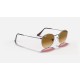ROUND FLAT LENSES
Lenses: Light Brown Gradient  +  Frame: Gunmetal