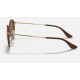 Round Craft
Lenses: Brown Classic B-15  +  Frame: Brown