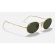 OVAL
Lenses: Green Classic G-15  +  Frame: Gold