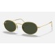 OVAL LEGEND GOLD
Lenses: Green Classic G-15  +  Frame: Gold