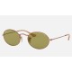 OVAL WASHED EVOLVE
Lenses: Green Photochromic Classic  +  Frame: Copper