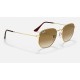 Hexagonal
Lenses: Light Brown Gradient  +  Frame: Gold