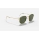 HEXAGONAL LEGEND GOLD
Lenses: Green Classic G-15  +  Frame: Gold