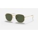 HEXAGONAL LEGEND GOLD
Lenses: Green Classic G-15  +  Frame: Gold