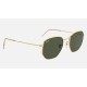 Hexagonal
Lenses: Dark Green Classic  +  Frame: Gold