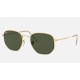 Hexagonal
Lenses: Dark Green Classic  +  Frame: Gold