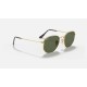 HEXAGONAL FLAT LENSES
Lenses: Green Classic  +  Frame: Gold