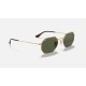 OCTAGONAL CLASSIC
Lenses: Green Classic G-15  +  Frame: Gold