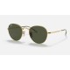 DAVID
Lenses: Green Classic  +  Frame: Gold