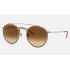 ROUND DOUBLE BRIDGE
Lenses: Light Brown Gradient  +  Frame: Copper