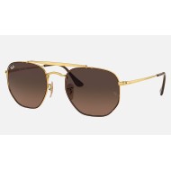 MARSHAL
Lenses: Brown Gradient  +  Frame: Tortoise