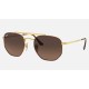 MARSHAL
Lenses: Brown Gradient  +  Frame: Tortoise
