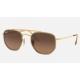 MARSHAL II
Lenses: Brown Gradient  +  Frame: Gold