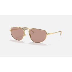 RB3668
Lenses: Brown Photochromic Classic  +  Frame: Shiny Gold