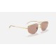 RB3668
Lenses: Brown Photochromic Classic  +  Frame: Shiny Gold